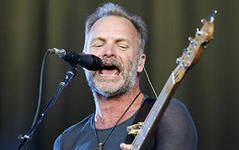 Sting