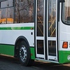 Autobus