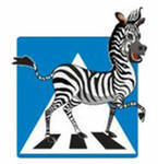 Zebra